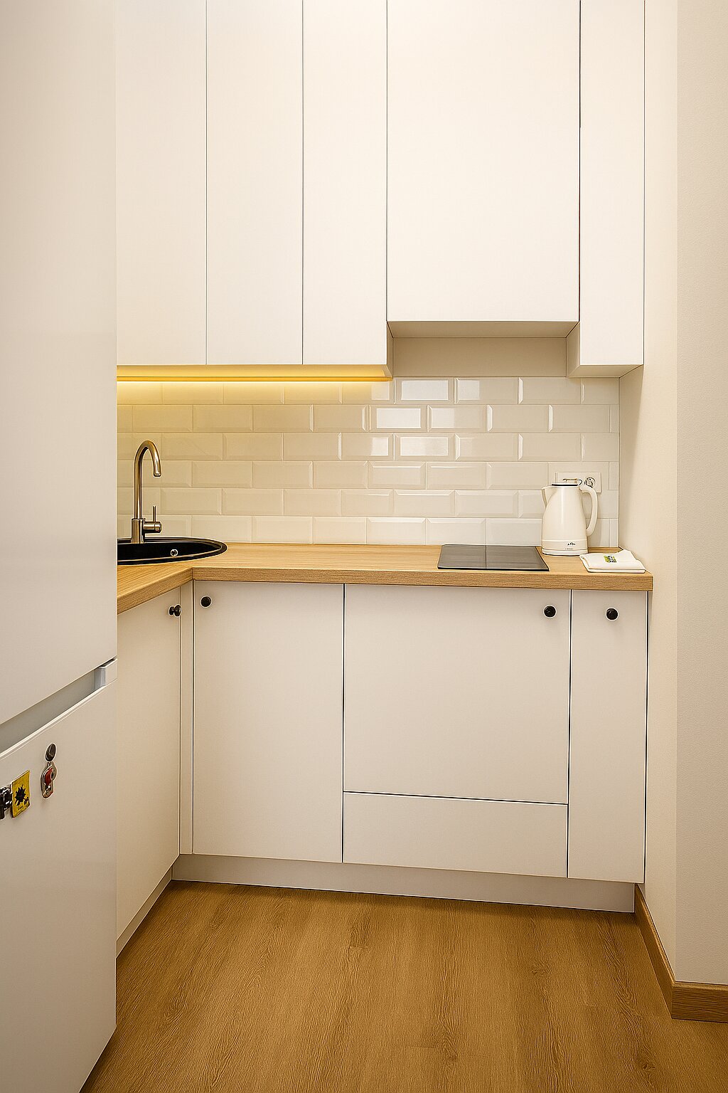Full Apartment Renovation